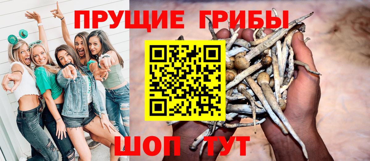 Кириши  Псилоцибиновые грибы мухоморы  Вход с VPN 