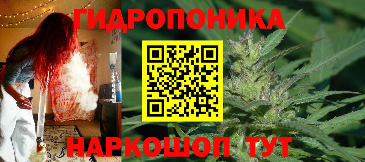 Кириши  Конопля SATIVA & INDICA  Вход с VPN  Шишки марихуана MAZAR 